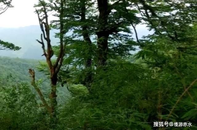 甘肃:2023年科技进步贡献率达到60%