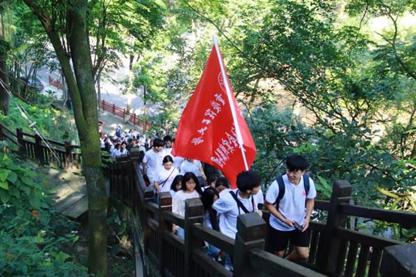 虫虫助手下载