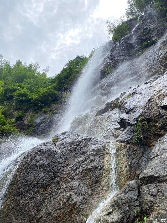 拯救精灵的土地8