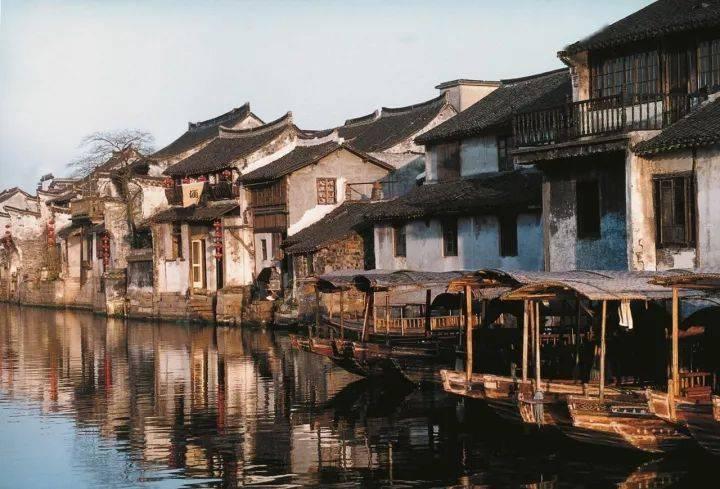 它被称为“天然钙库”,错过可惜了!孩子经常吃,益智健脑长大个