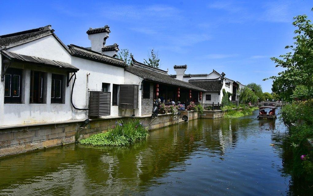 细胞分裂6
