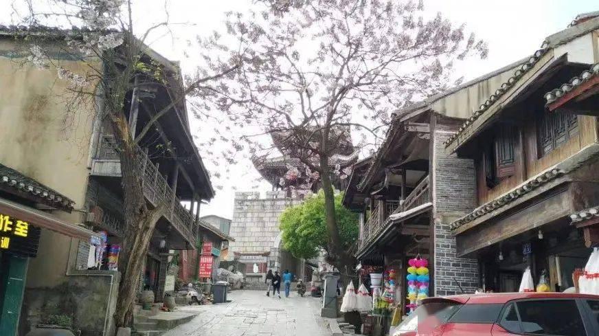 僵尸猎人赏金大赛